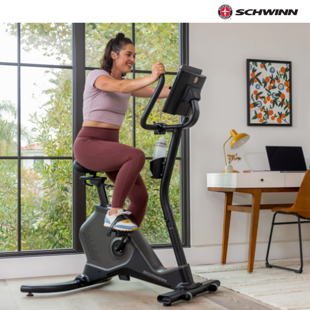 Schwinn